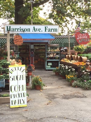 Harrison Av Farm