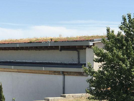 Hempcrete in France