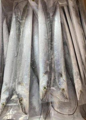 Fresh Ribbonfish