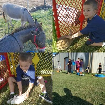 Fun at the church picnic