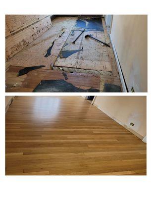 layer of plywood removed before new wood was installed