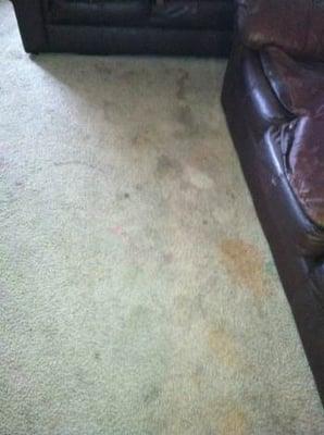 Carpet Cleaning in New London, OH