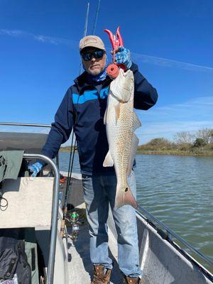 Most recent 29.5 Red fish caught at Cedar Bayou by my fishing buddy, Gary.