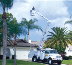 Bushwacker Tree Service & Lawn Care