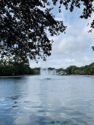 Fountain and lake