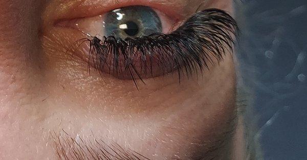 Volume lash extensions