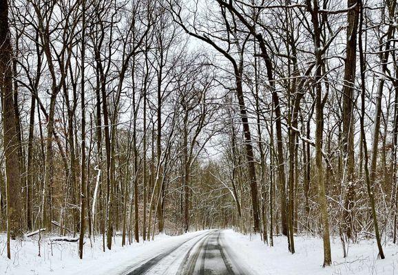 Secor Metropark