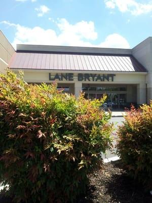 Lane Bryant