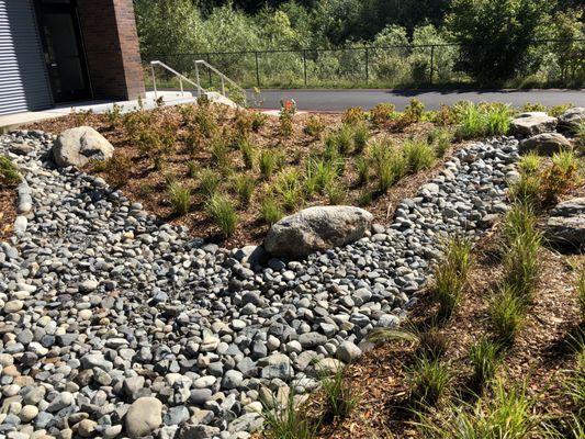 Timberline School in Redmond WA