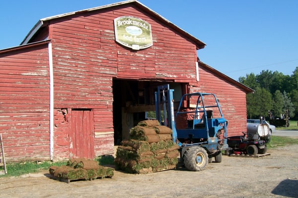 Freshly harvested sod