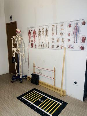 Assessment Office with Circulatory, Muscular and Skeletal Systems, Anatomy of the  Spine and Fit Map for OHSA