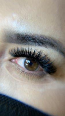 Mega volume lashes