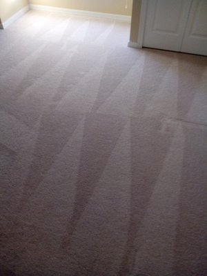 All American Carpet Care