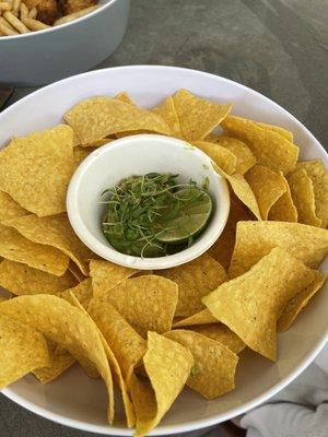 Sweet Pea Guacamole with Warm Crunchy Tortillas