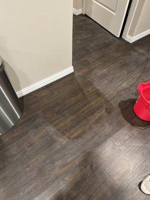 Wax coating over brand new pergo outlast plus laminate.