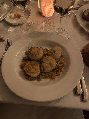 Scallops