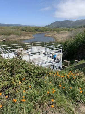 Carmel River Bird Sanctuary