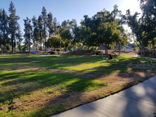 Interior of park. Dirt patches in grass.