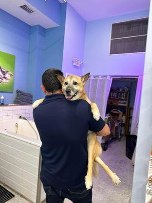 Elvis loves the self service doggy spa!