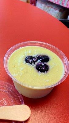 Vegan orange custard topped with blueberries and coconut. Yum!