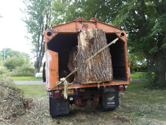 North Country Tree Doctor