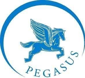 Pegasus