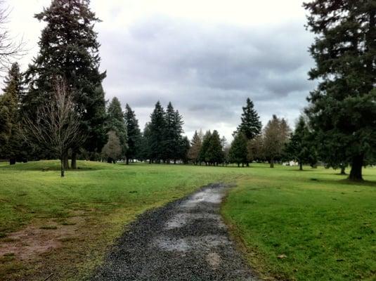 Real Oregon golfers don't let rain scare them off...