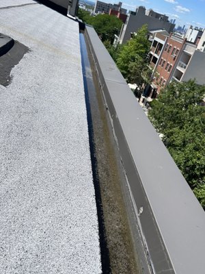 Roof trough - filled with water morning after heavy rainfall.  A cloth thrown in clogged the drain hole