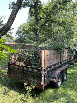 Tree cut down and haul away to clean up a neighbors yard!