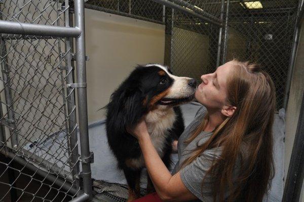 Montrose Animal Hospital