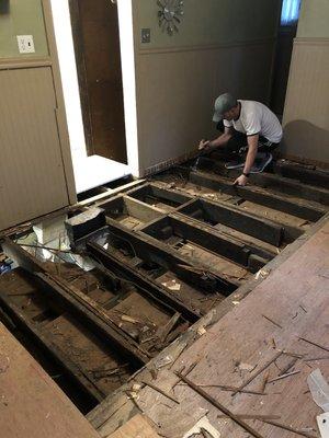 Sagging floors. Floor jacks installed in basement and old floor was ripped out from the rear of the house (kitchen) to the dining room.