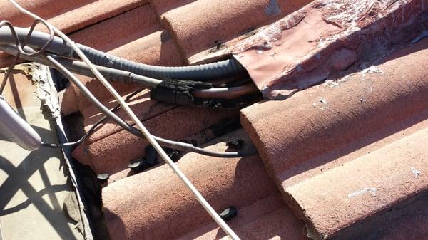 Rodents gnawing on air conditioning hoses as they do on electrical wire. we provide complete control service.