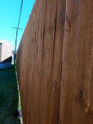 New fence