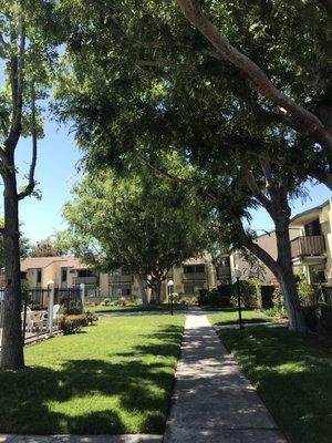 Orangewood Villa Apartments