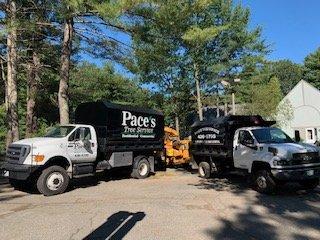 Pace's Tree Service