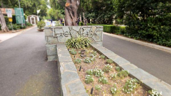 Lacy Park