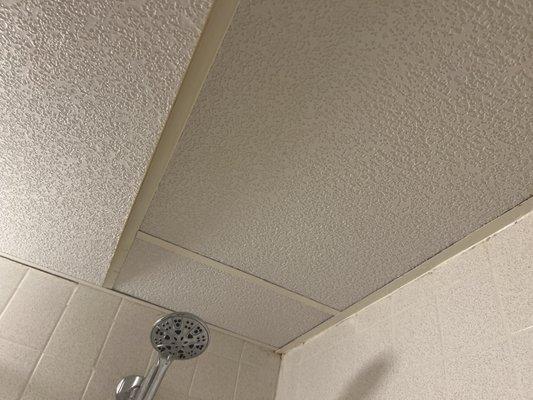 Ceiling in shower