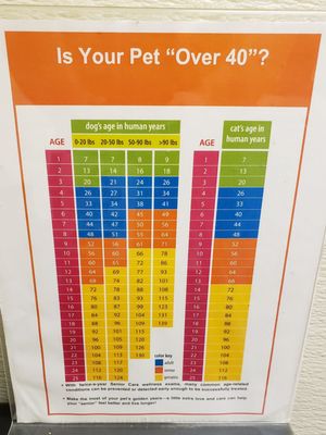 Pet Age Chart