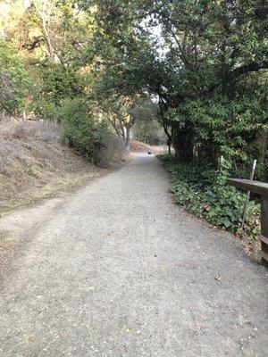 Great hikes for kids. See the blue dot? That's my son protesting not wanting to go home...