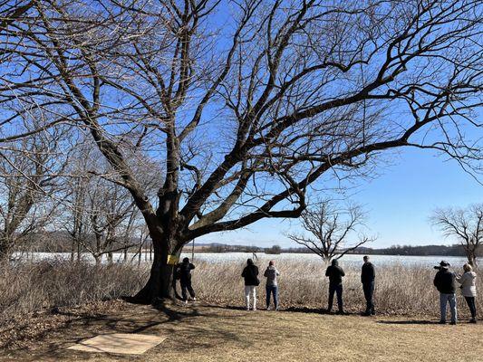 Middle Creek Wildlife Management Area