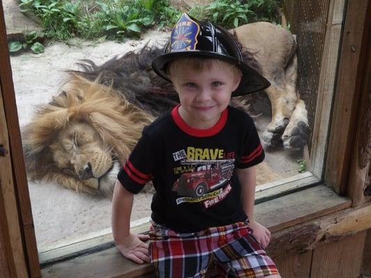 A visitor poses with our sleepy lion