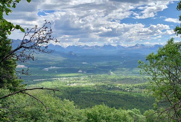 Mount Healy Overlook Trail