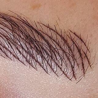 Brow Envy by Lisa