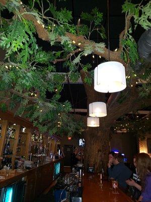 Who wouldn't like a bar with a tree in the middle