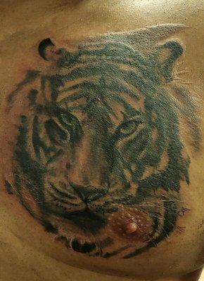 Tiger Tatoo!