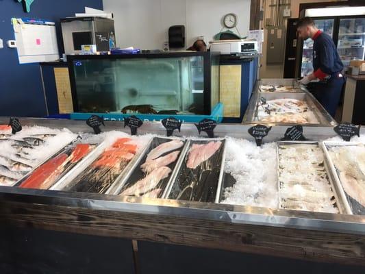 Fresh fish display