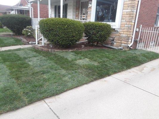 Sod installation and complete home beautification.