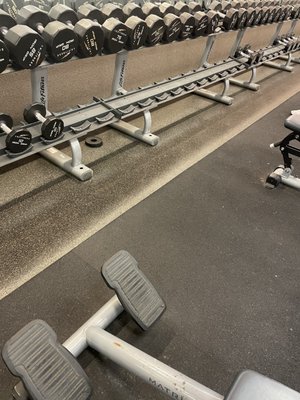 No weights live here... they walked out the door and the gym won't replace them.