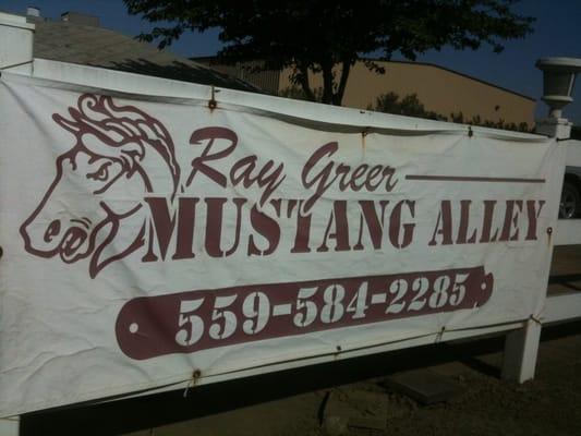 Greer Ray Mustang Alley