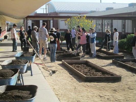 I helped with a charter community garden